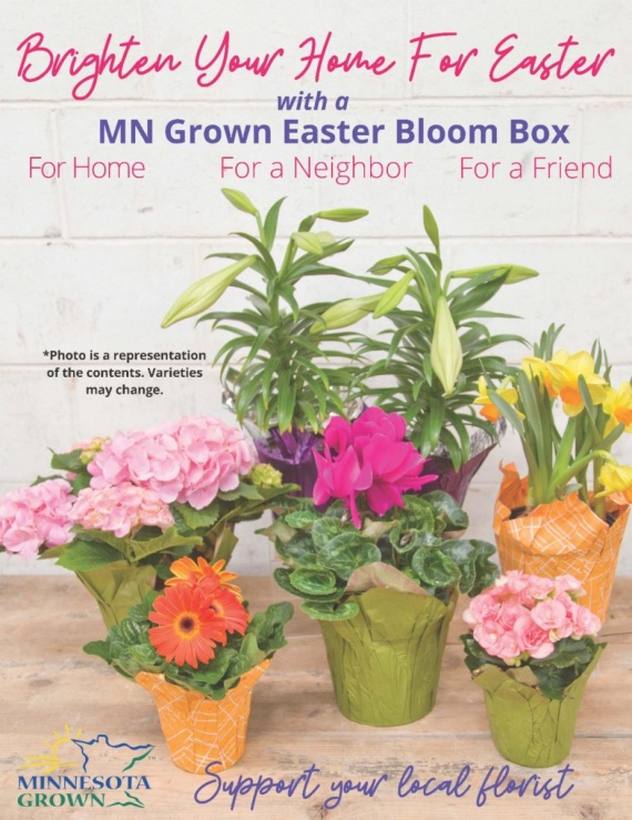 MN Grown Easter Bloom Box